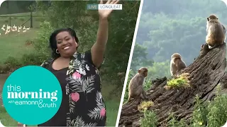Alison Loses it Over Baby Monkeys at Safari Park | This Morning