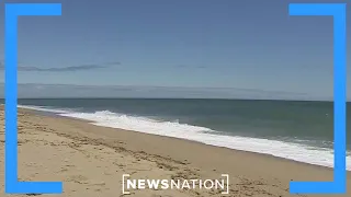 Measure passes allowing women to go topless at certain beaches  |   Dan Abrams Live