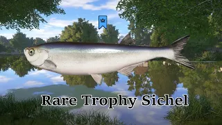 "Rare" Trophy Sichel 2056g with UL setup! - RF4 Trophies- Russian Fishing 4