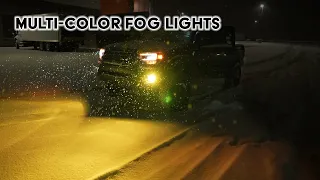 Amazing LED Fog Light BULBS for ALL Types of Weather Conditions! Great for Tacoma and 4Runner!