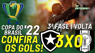 [Copa BR '22] 3ª Fase | Volta | Botafogo FR 3 X 0 Ceilândia/DF | Confira Os Gols! | TV ARTILHEIRO