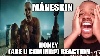 Måneskin - HONEY (ARE U COMING?) (Official Video) REACTION