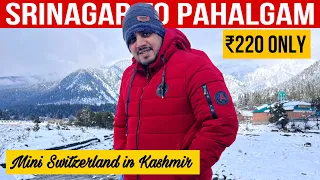 Srinagar To Pahalgam By Sharing Taxi | Mini Switzerland Pahalgam