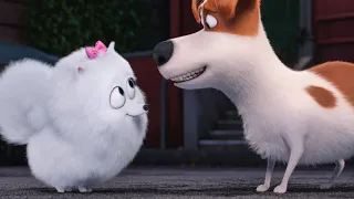 Secret life of pets | Animation 4k 60fps