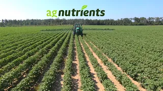 Spraying Cotton and Cleaning out a Peanut Warehouse🥜