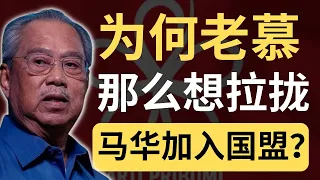 马华特别香？为何老慕垂涎三尺？| 9后商谈 @Just9Cents Kelvin