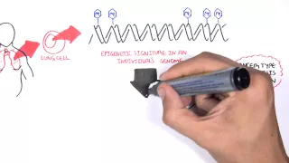 DNA methylation biomarkers - Garvan Institute