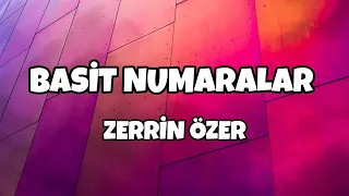 Zerrin Özer - Basit Numaralar (Sözleri/Lyrics)