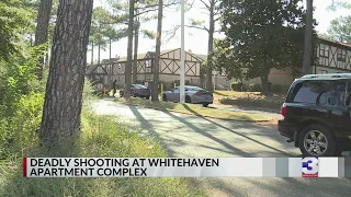 Police investigate fatal shooting at Whitehaven apartments