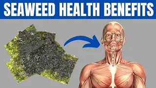 SEAWEED BENEFITS - 15 Amazing Health Benefits of Seaweed You Should Know!