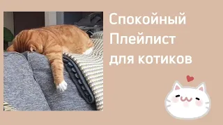 Спокойный плейлист для котиков Russian playlist