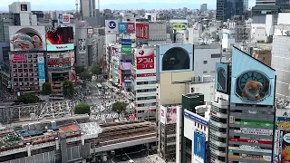 渋谷の秋田犬 4画面の連動が分かる