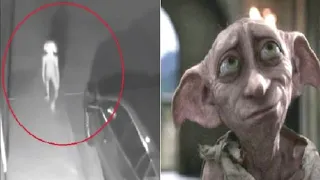 Sinister creature ‘like Harry Potter elf Dobby’ spotted on CCTV walking up woman’s driveway