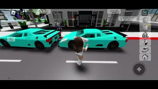 Roblox Brookhaven I can't touch the colour green