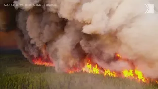 How Canadian Wildfires Start