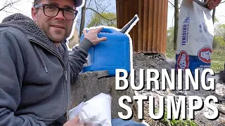 Removing Stumps?  Try this.