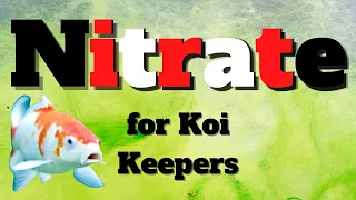 Koi Pond Nitrate - What every koi keeper needs to know about Nitrate