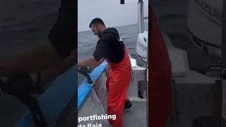 Powerful, big bluefin tuna pulls man overboard while fishing with Maras Sportfishing in Ensenada.