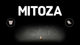 [Mitoza] Первый взгляд на игру Mitoza/Обзор на игру митоза/Все начинается с зернышка