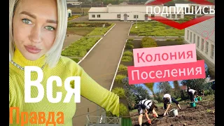 Колония поселение#женскаяколония #правда #MilenaSush