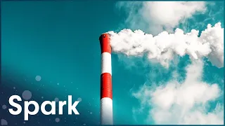How Is Air Pollution Affecting Your Health? | Ever Wondered | Spark