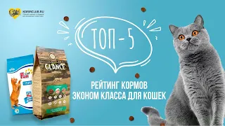 Рейтинг кормов эконом класса для кошек