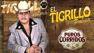 El Tigrillo Palma - Corridos Perrones Mix - Pa' Pistear #gamesunwin #appsunwinw #Sunwin #SUNWIN
