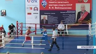 В Красноярске прошел чемпионат края по боксу