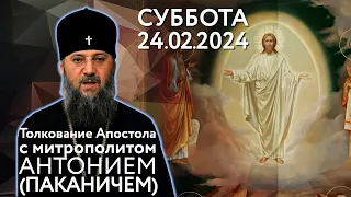 Суббота, 24 февраля 2024 года. Толкование Апостола с митр. Антонием (Паканичем).