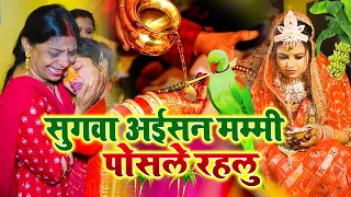 दर्द भरा बेटी विवाह गीत || सुगवा अईसन  मम्मी पोसले रहलु || sunita lokgeet Shadi Vivah Geet