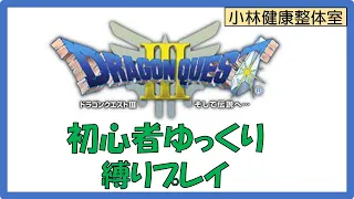 【Dragon Quest3 SFC】縛りプレイ、勇者なし＋姉妹の旅、㊗バラモス撃破！　※ネタバレあり