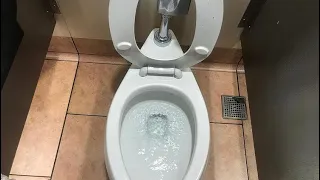 516. 2 Kohler Toilets at Walmart (Front Restroom)