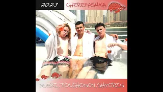 NUEKI, TOLCHONOV, SHPORIN - CHEREPASHKA (Летний фонк трек 2023)