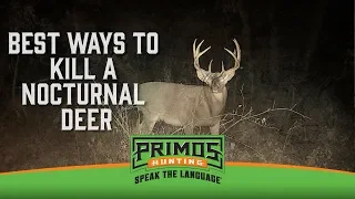 How to Hunt a Mostly Nocturnal Deer