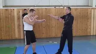 Wing Chun vs MMA