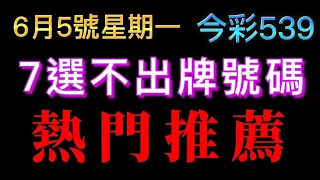 【今彩539】6月5號【一】｜七選不出牌號碼分享｜ 7選不出牌推薦｜#539號碼 #539不出牌 #今彩539 不出牌🐱招財貓539