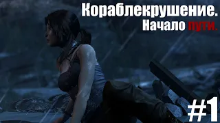 Прохождение Tomb Raider на Русском. Кораблекрушение. Начало пути. #1