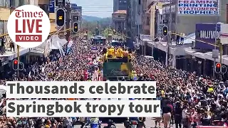 Thousands of Springbok supporters celebrate Rugby World Cup trophy tour