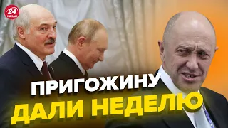 Пригожин vs Путин – чего ждать @NEXTALive