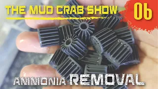 The MUD CRAB Show | Episode 06 | Biofiltration for Mud Crab Vertical Farming