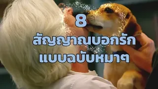 8 สัญญาณบอกรักแบบฉบับหมาๆ | SudPad-Dog