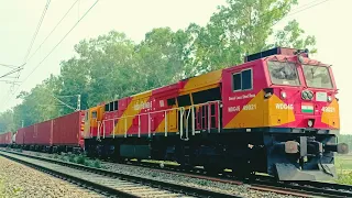 Python Train Pulled by only Single Powerfull Locomotive: WDG4G