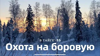 ОХОТА НА БОРОВУЮ ДИЧЬ В ТАЙГЕ, МОРОЗ -35, А Я НА ОХОТУ.