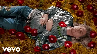 Nirvana - Heart-Shaped Box (Director's Cut)