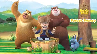 Boonie Bears Forest Frenzy | Cartoon for kids | Compilation 34-36