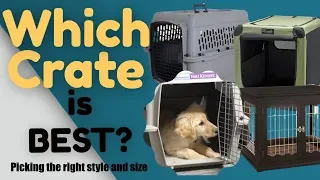 Dog Crate Size - Which Dog Crate Is Best