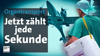 Wettlauf gegen die Zeit - so funktioniert ein Organtransport  | Die Story | Kontrovers | BR24