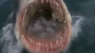 JAWS / MUSIC VIDEO