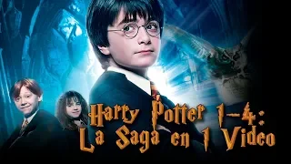 Harry Potter: La Saga en 1 Video (PARTE 1)