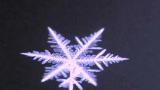 Snowflake time-lapse